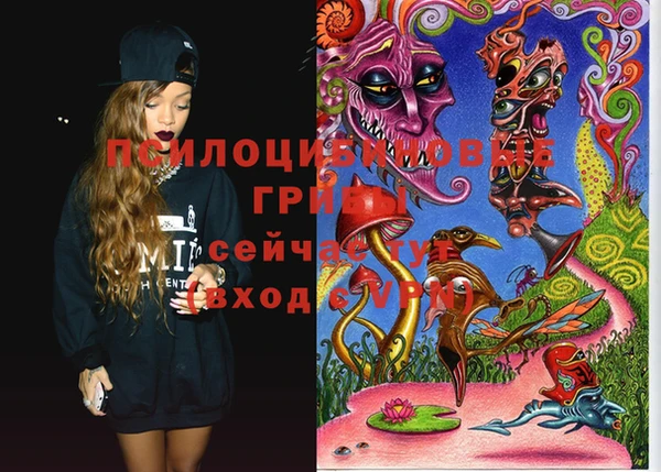 mix Новозыбков