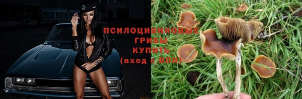 mix Новозыбков